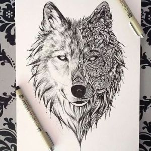 Wolf